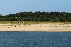 Botes Famielie 9mile-18